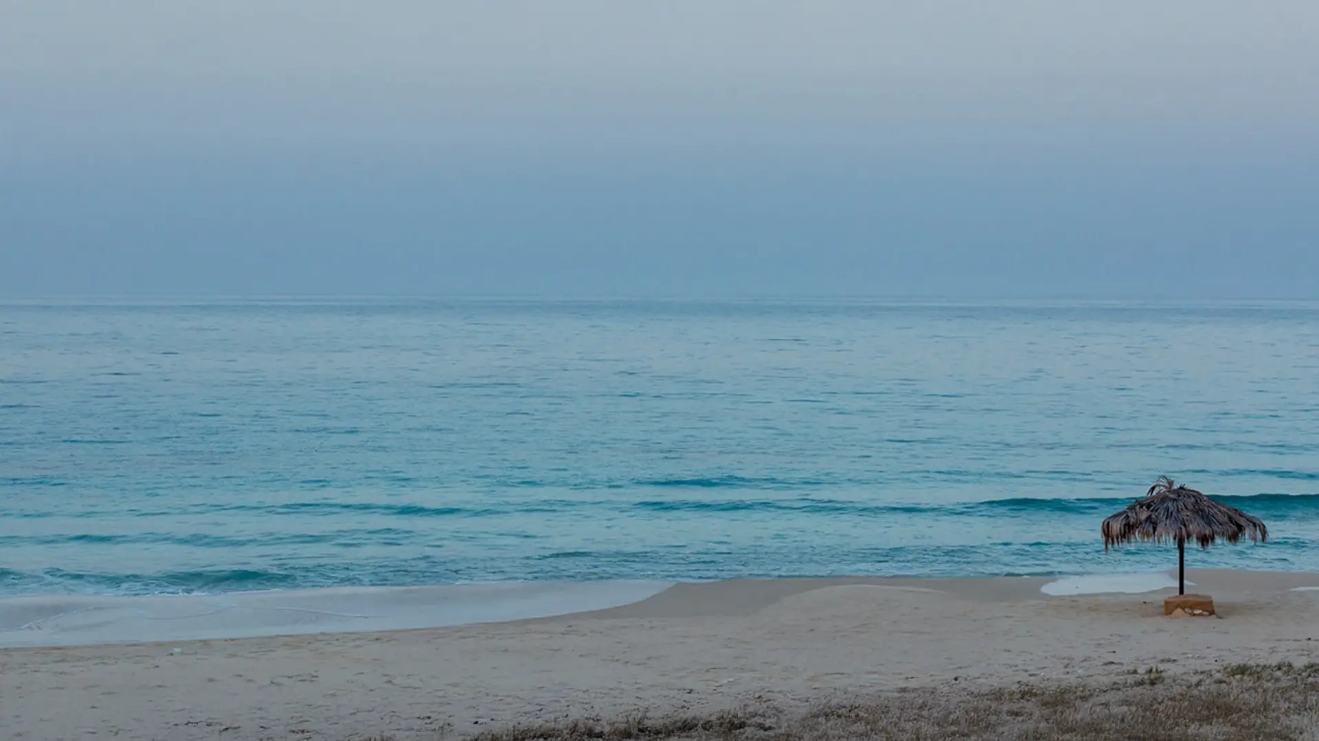 صور