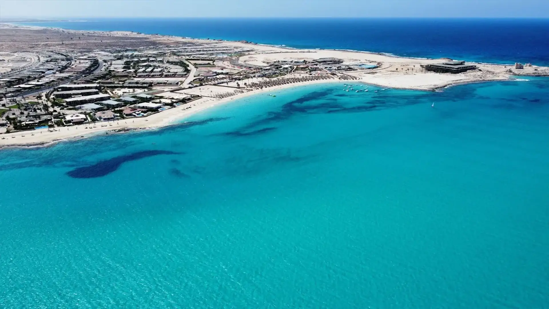 صور